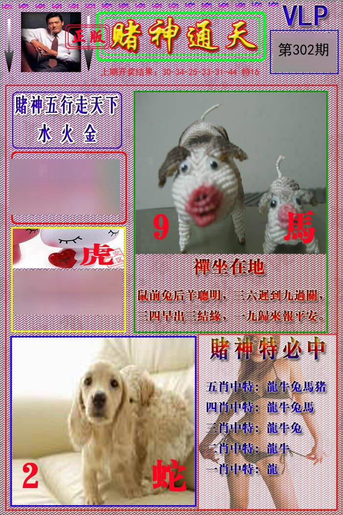 2024302期赌神通天报