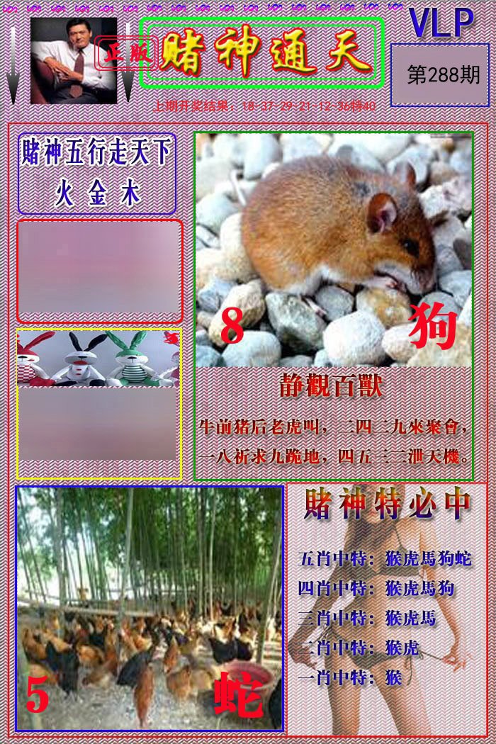 2024288期赌神通天报