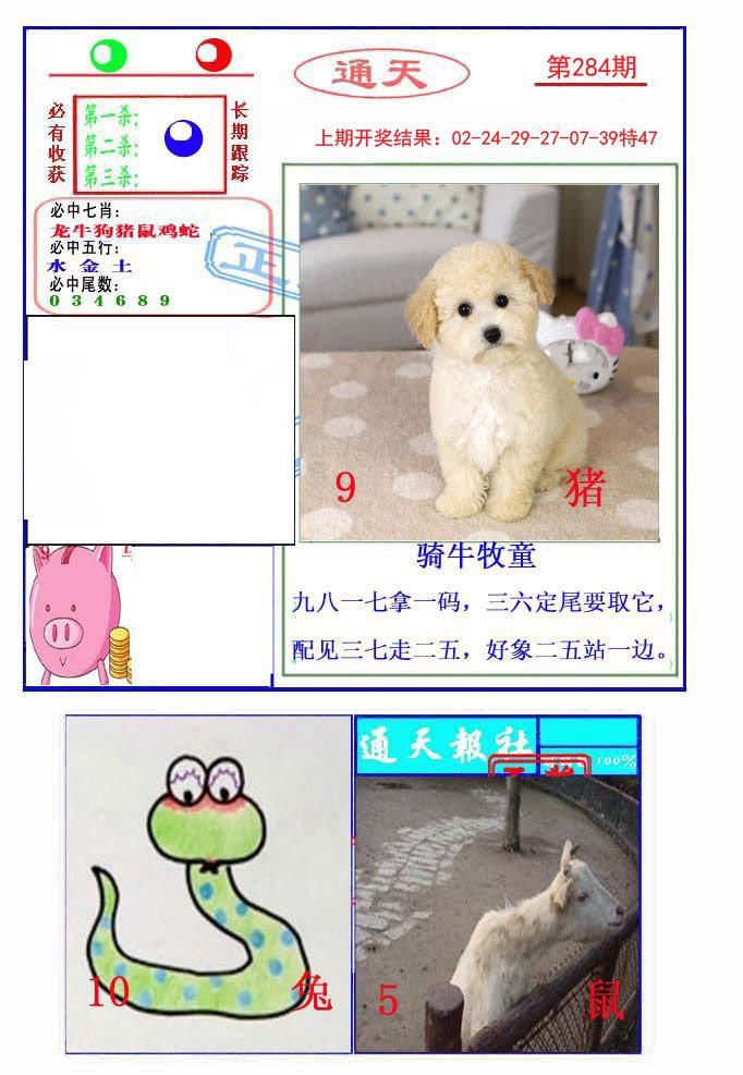 2024284期通天杀波图2