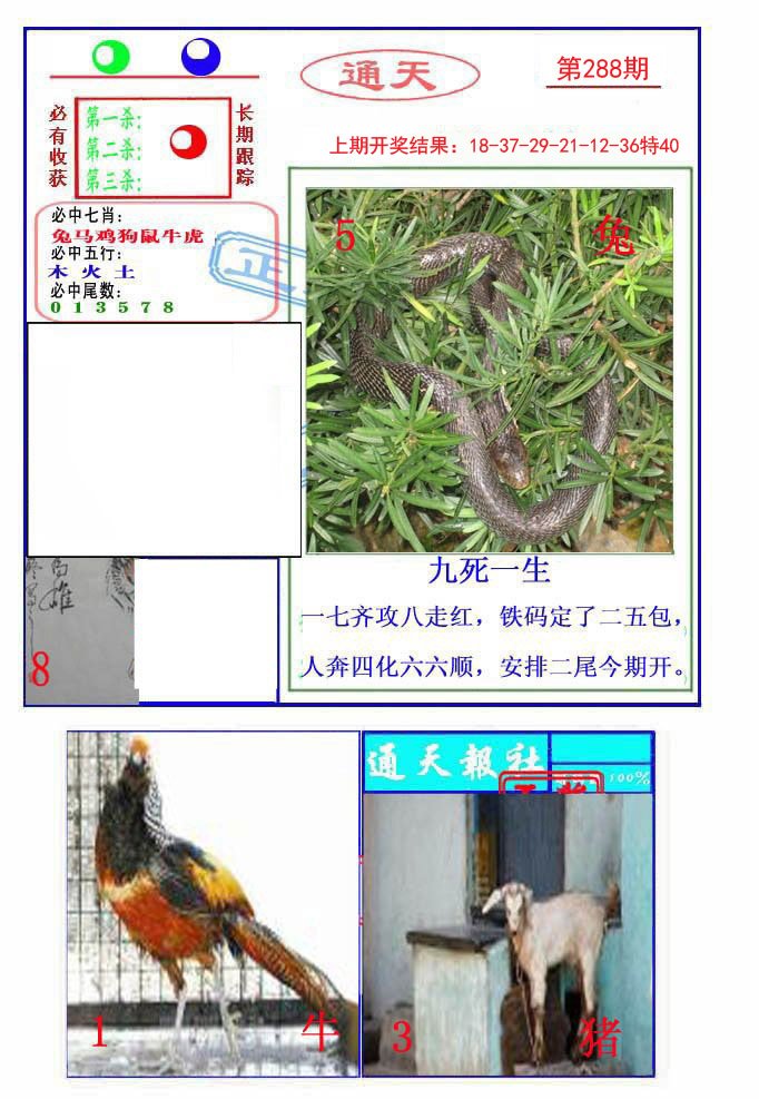 2024288期通天杀波图2