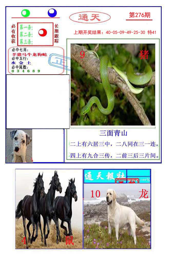 2024276期通天杀波图2