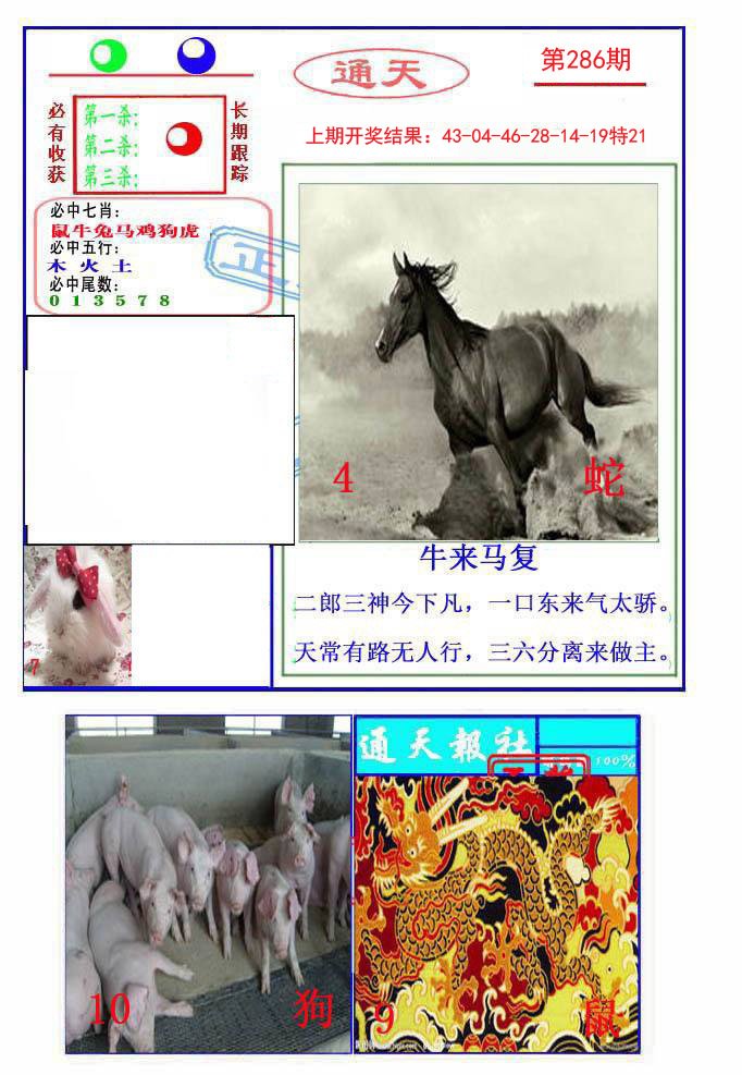 2024286期通天杀波图2