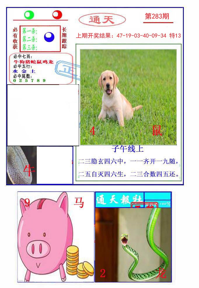 2024283期通天杀波图2