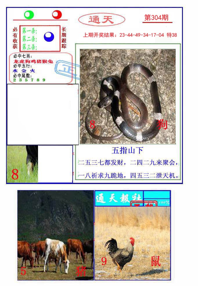 2024304期通天杀波图2