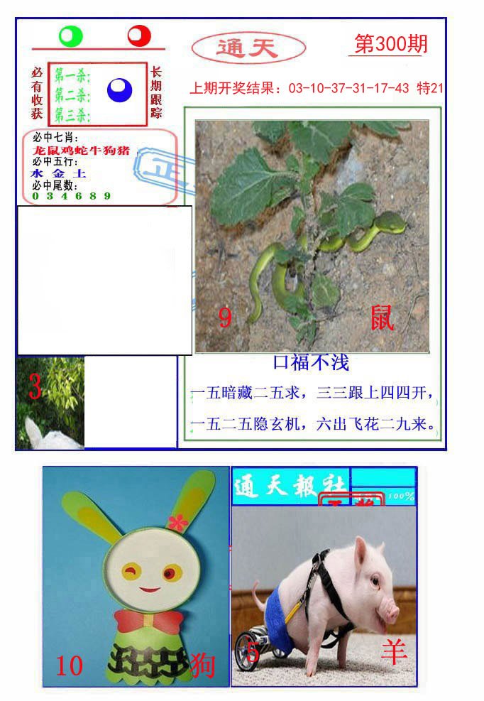 2024300期通天杀波图2