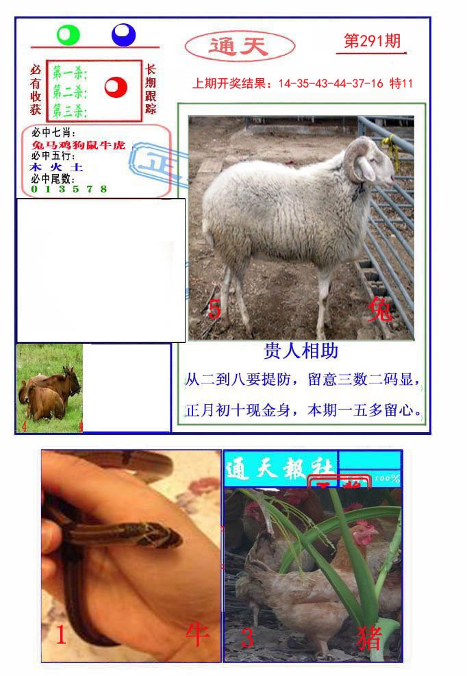 2024291期通天杀波图2