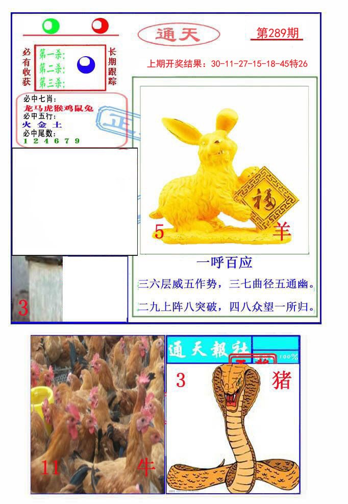 2024289期通天杀波图2