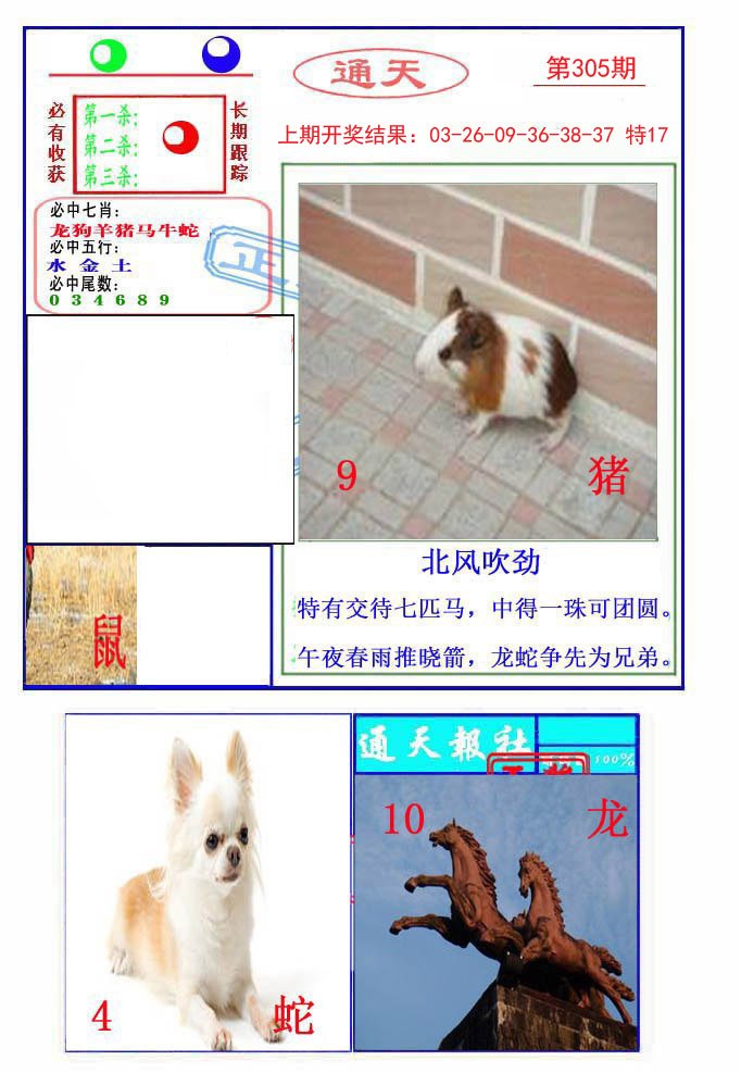 2024305期通天杀波图2