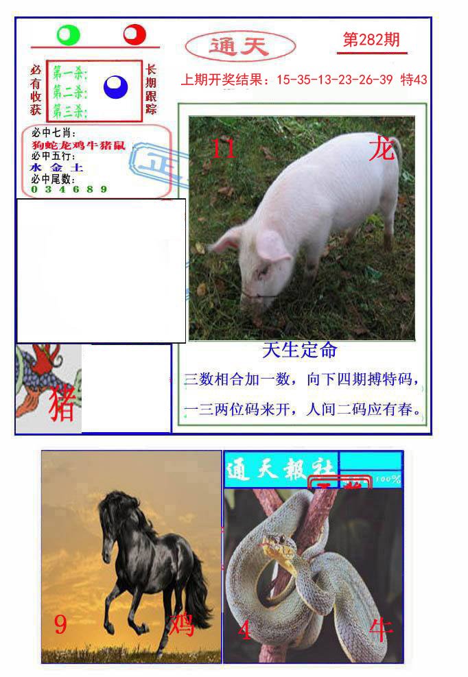 2024282期通天杀波图2