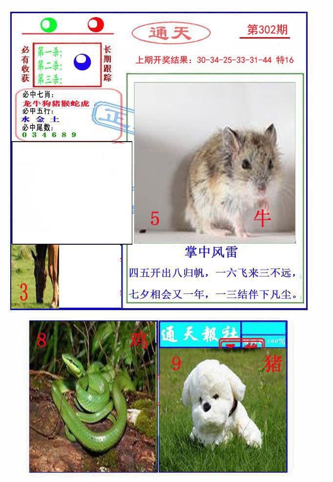 2024302期通天杀波图2