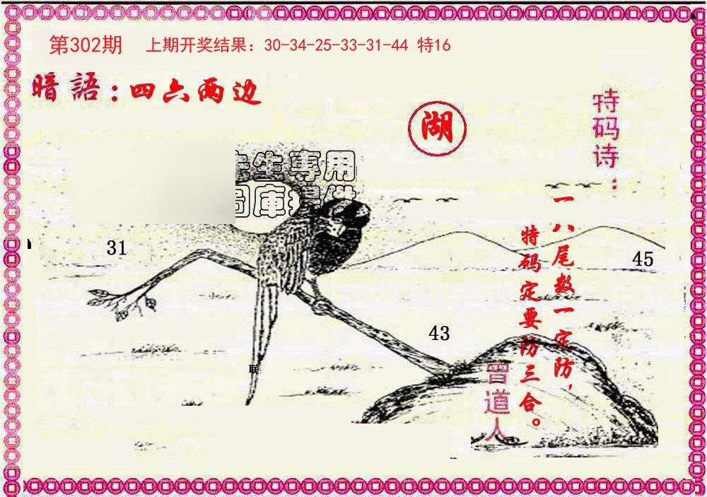 2024302期新暗语报