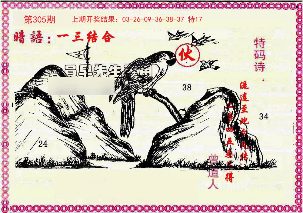2024305期新暗语报