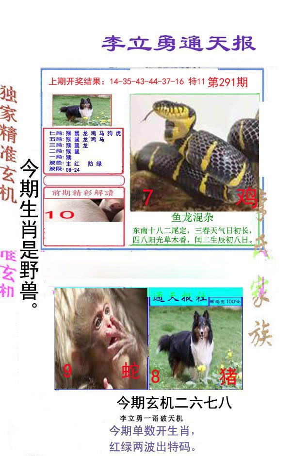 2024291期李立勇通天报