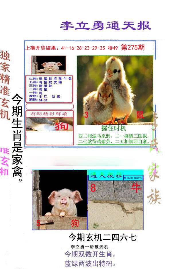 2024275期李立勇通天报