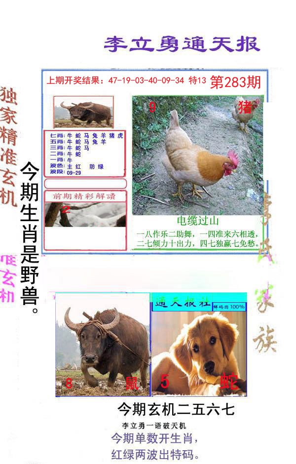 2024283期李立勇通天报