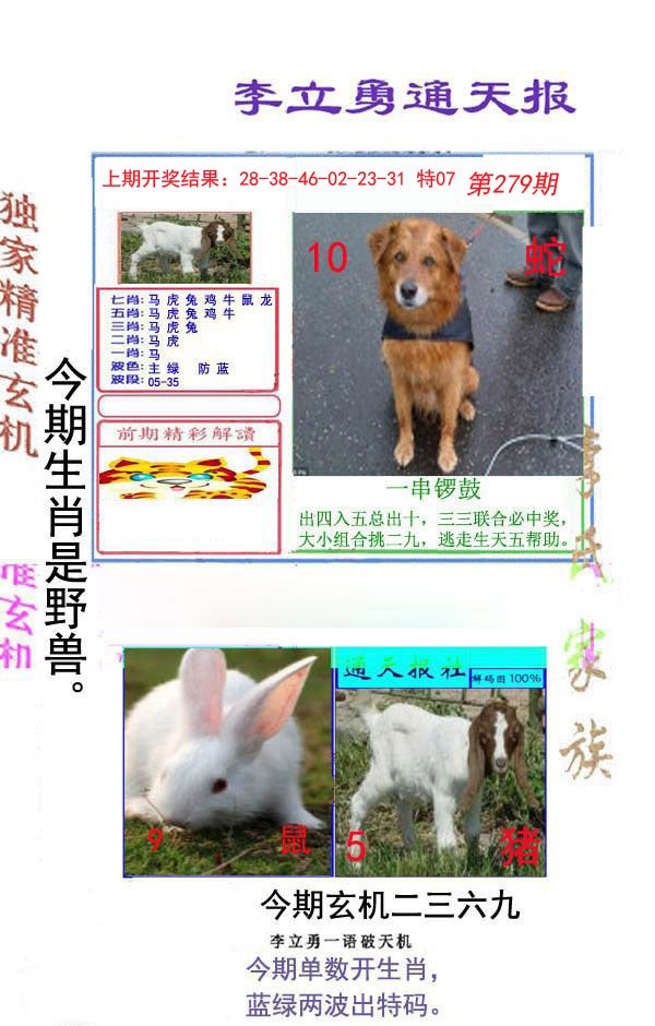 2024279期李立勇通天报