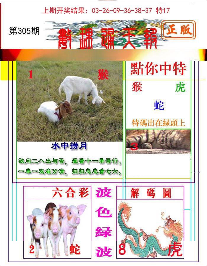 2024305期数理通天