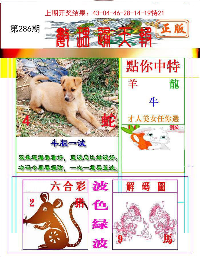 2024286期数理通天
