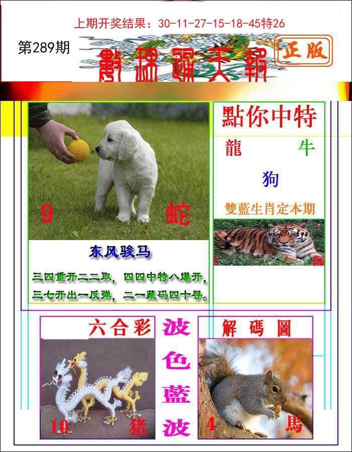 2024289期数理通天