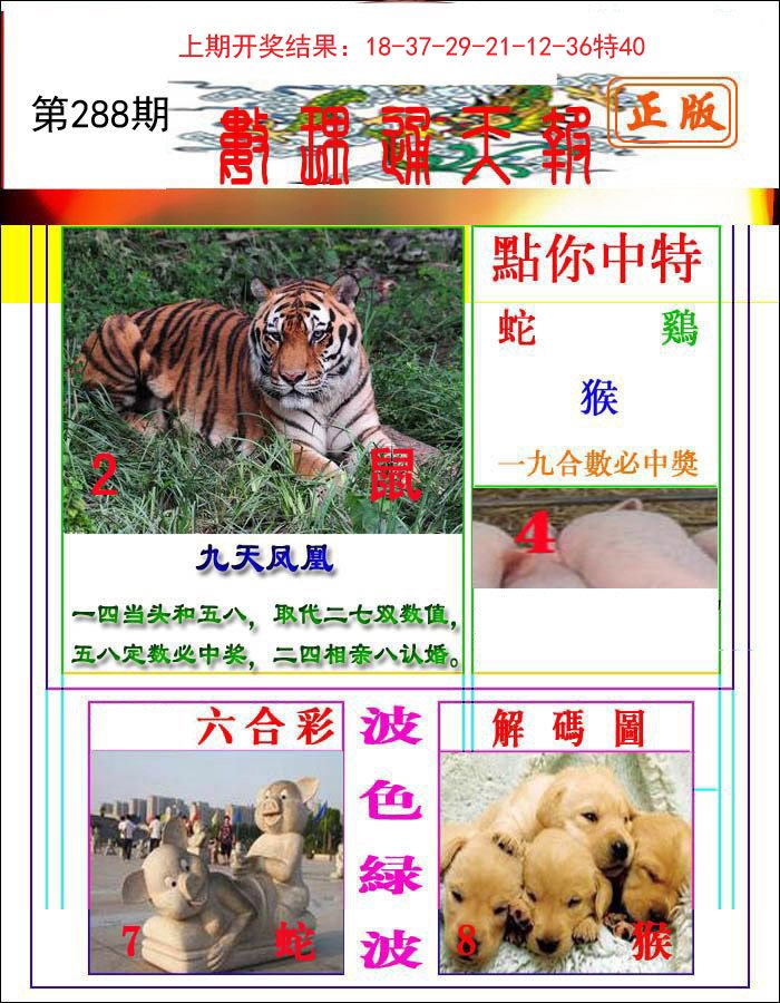 2024288期数理通天