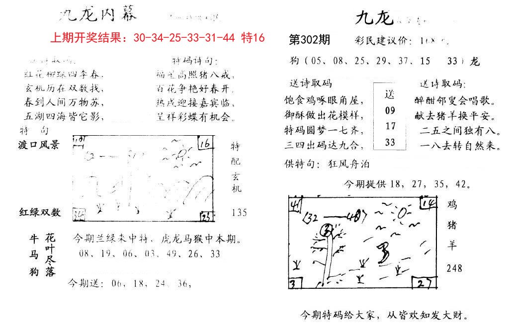 2024302期九龙内幕