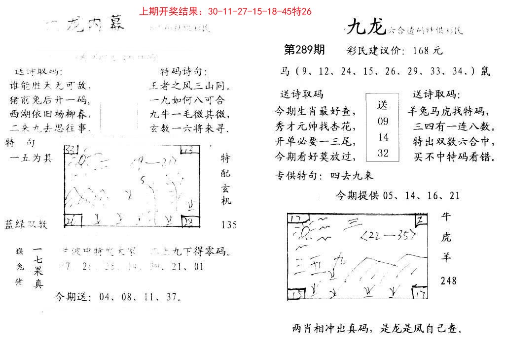 2024289期九龙内幕
