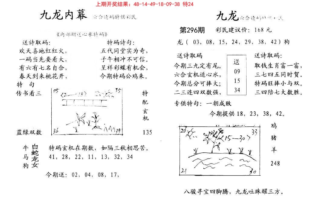 2024296期九龙内幕