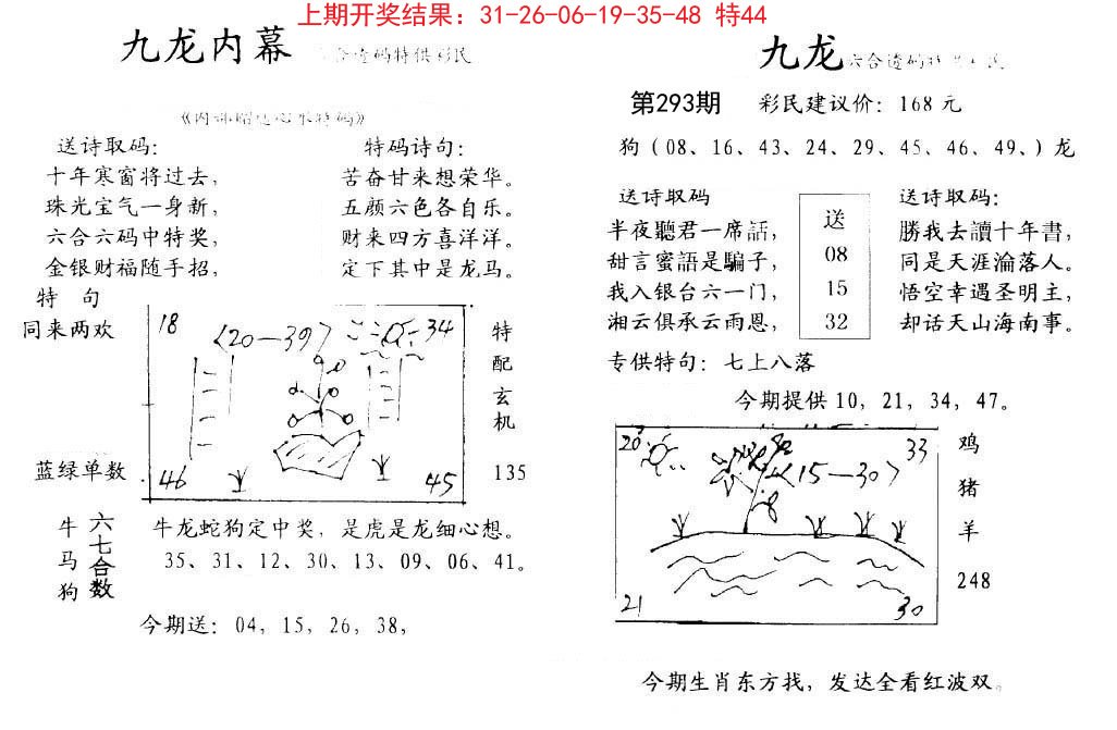 2024293期九龙内幕