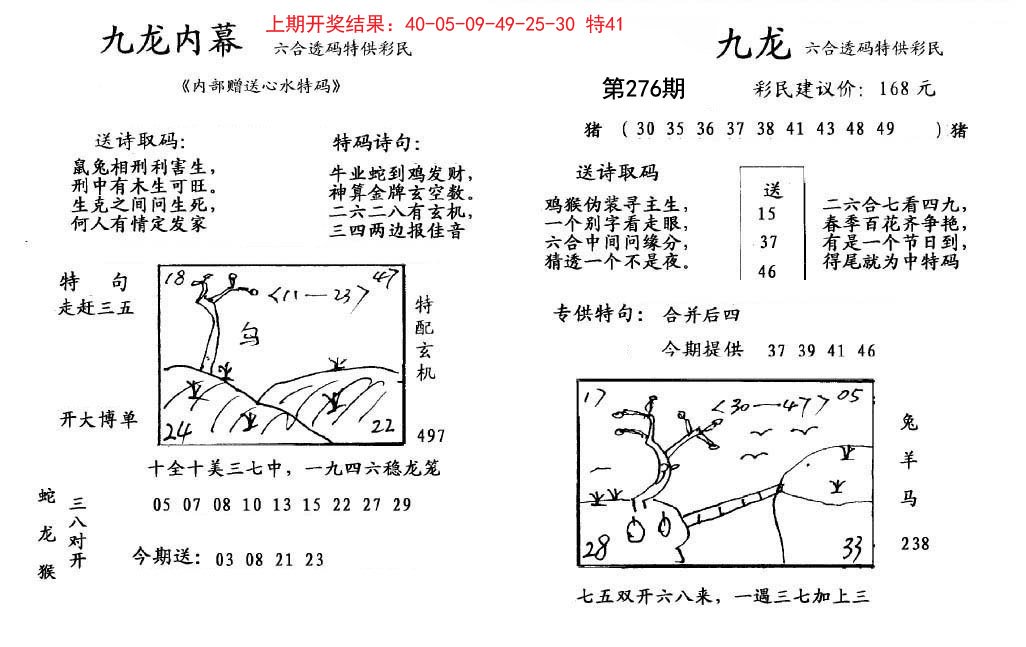 2024276期九龙内幕