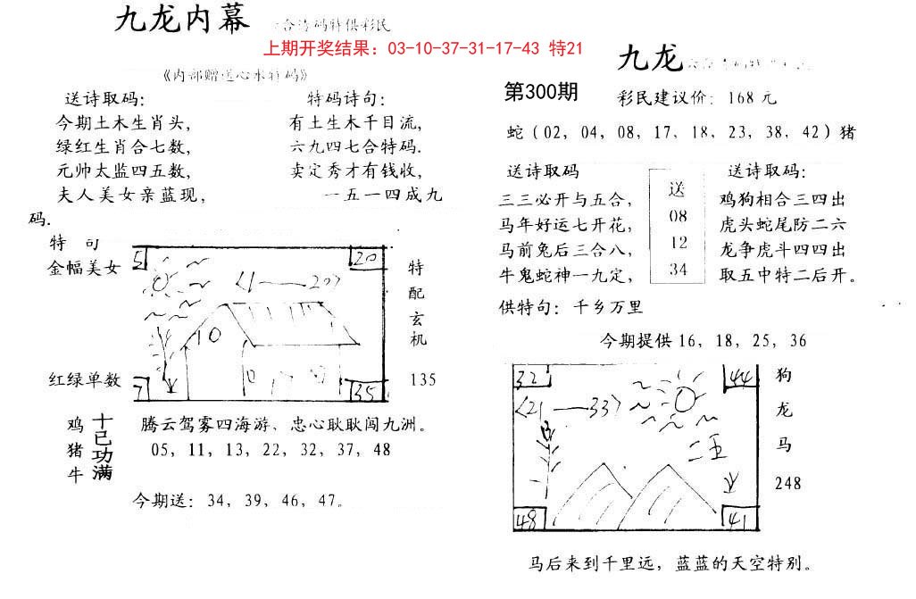 2024300期九龙内幕