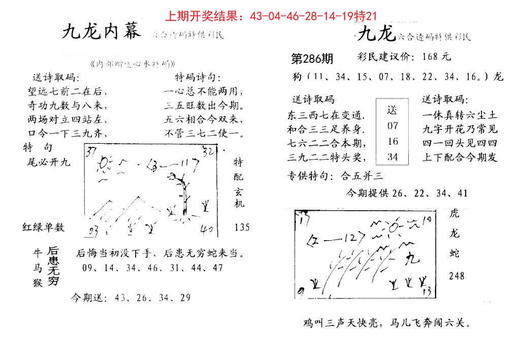2024286期九龙内幕