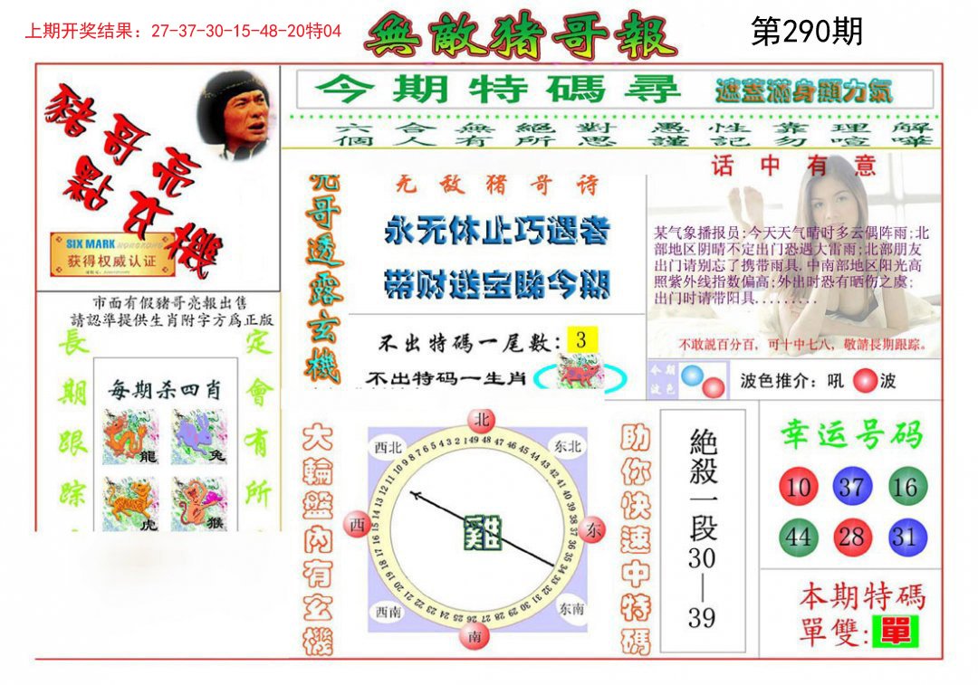 2024290期无敌猪哥