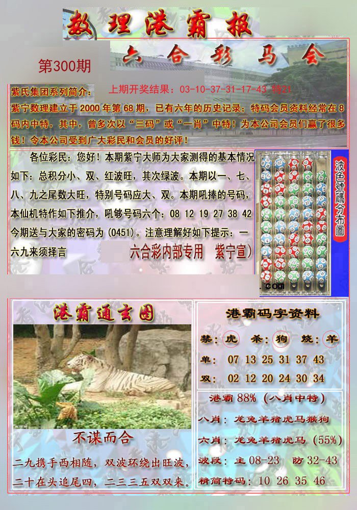 2024300期港霸报
