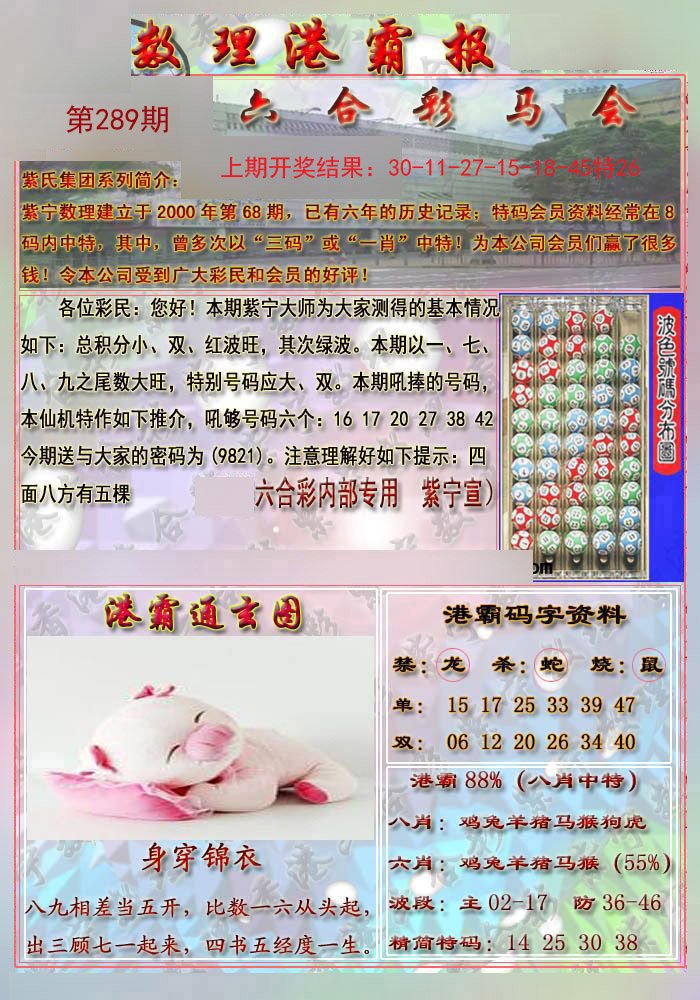 2024289期港霸报