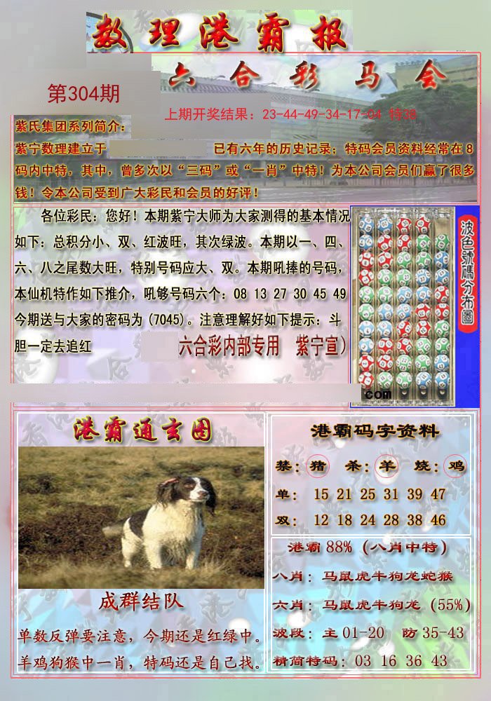 2024304期港霸报