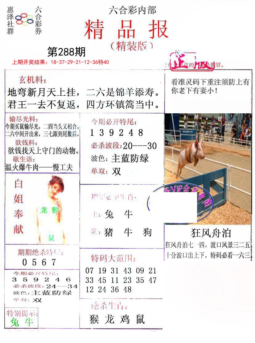 2024288期摇钱树