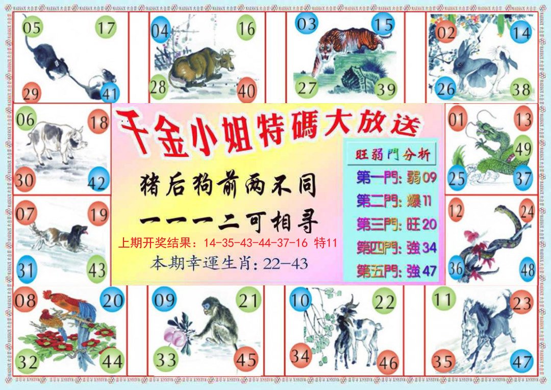 2024291期千金小姐B版