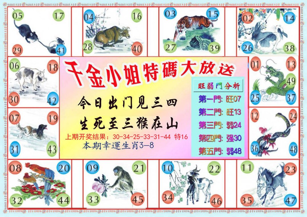 2024302期千金小姐B版