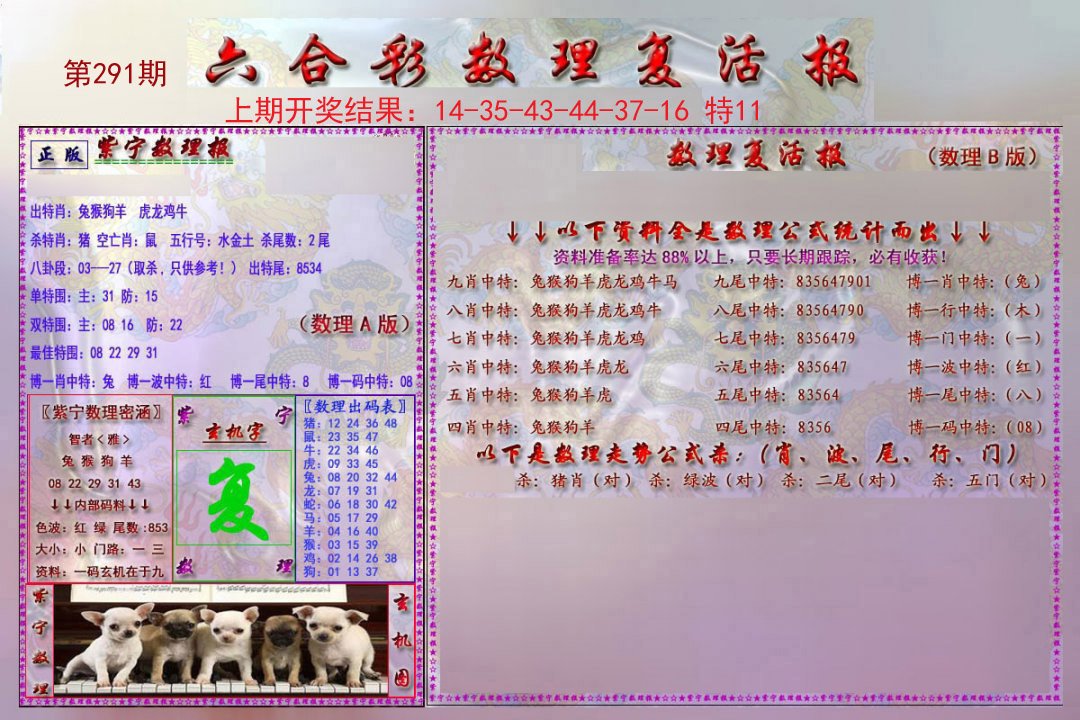 2024291期数理复活报