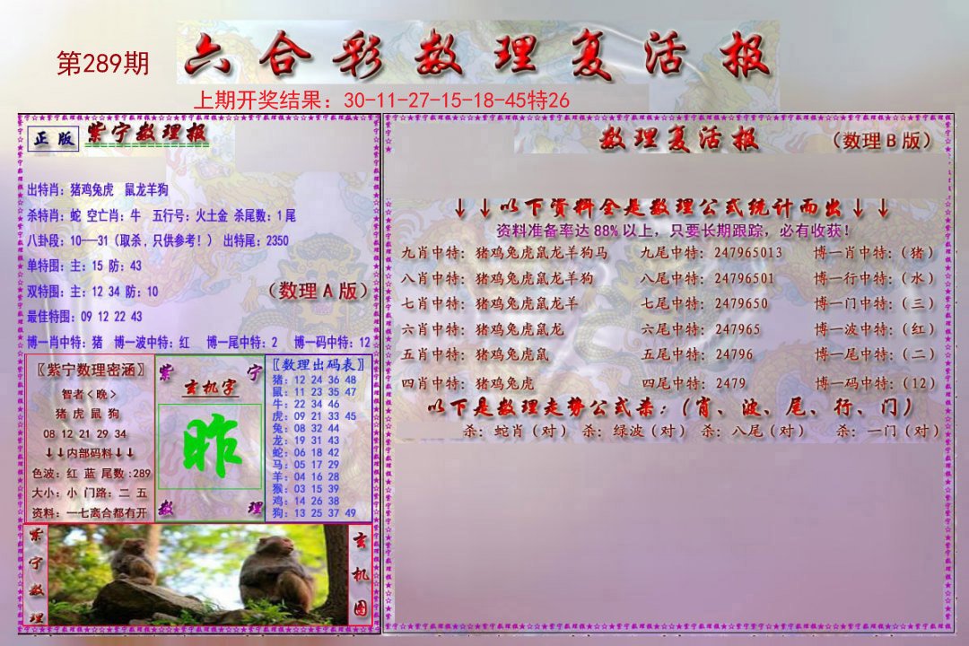 2024289期数理复活报
