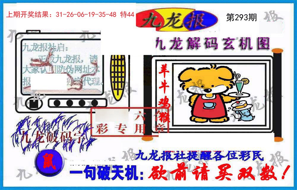 2024293期九龙报(信封)