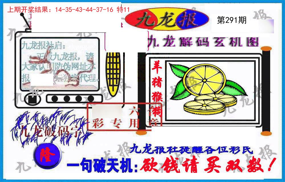 2024291期九龙报(信封)