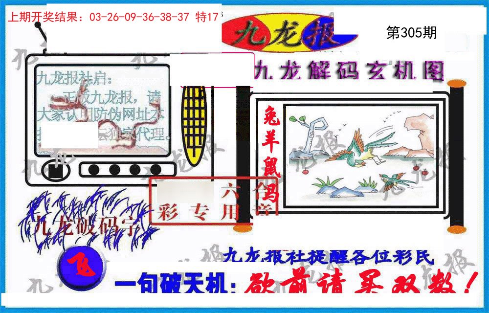 2024305期九龙报(信封)
