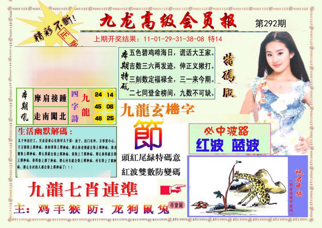 2024292期九龙高级会员报