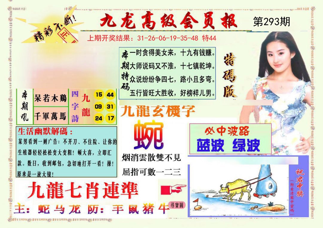 2024293期九龙高级会员报