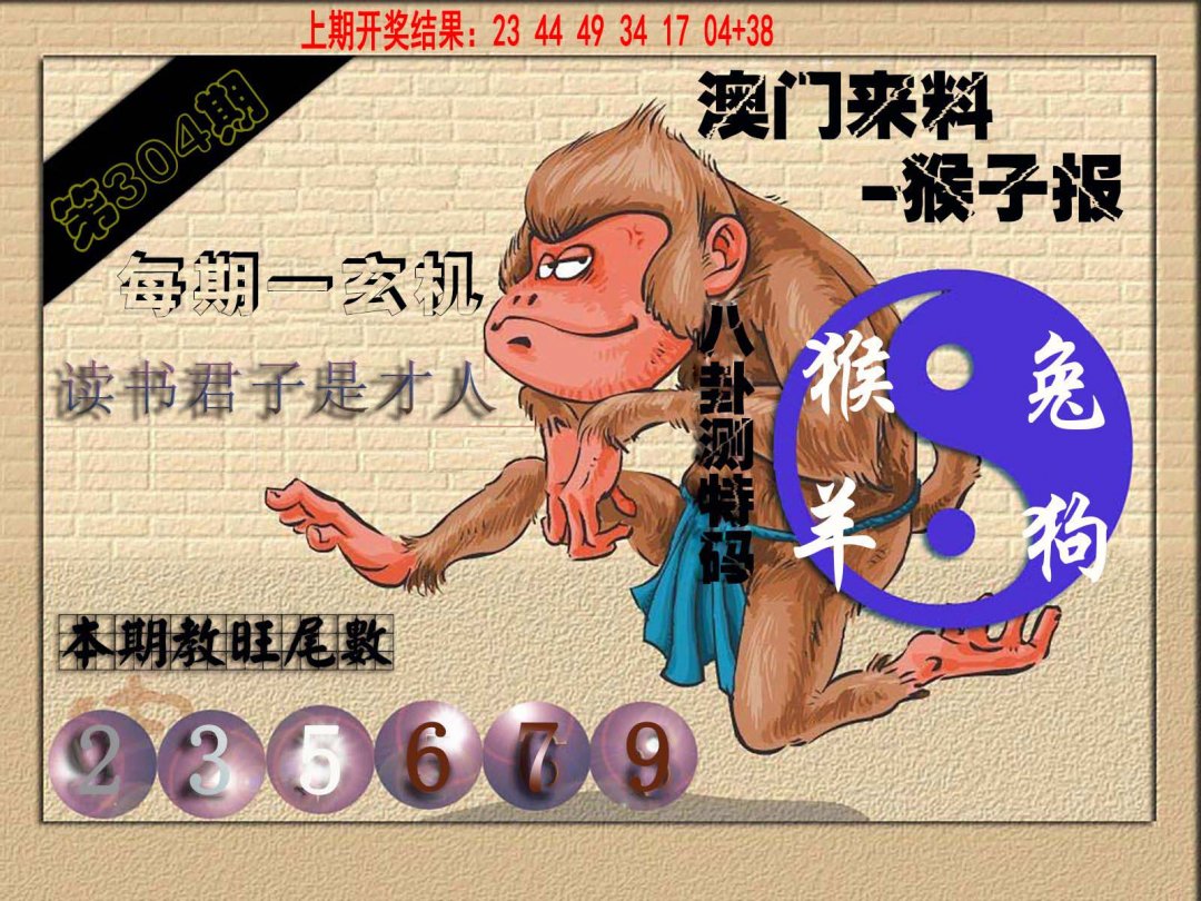 2024304期(来料)猴报