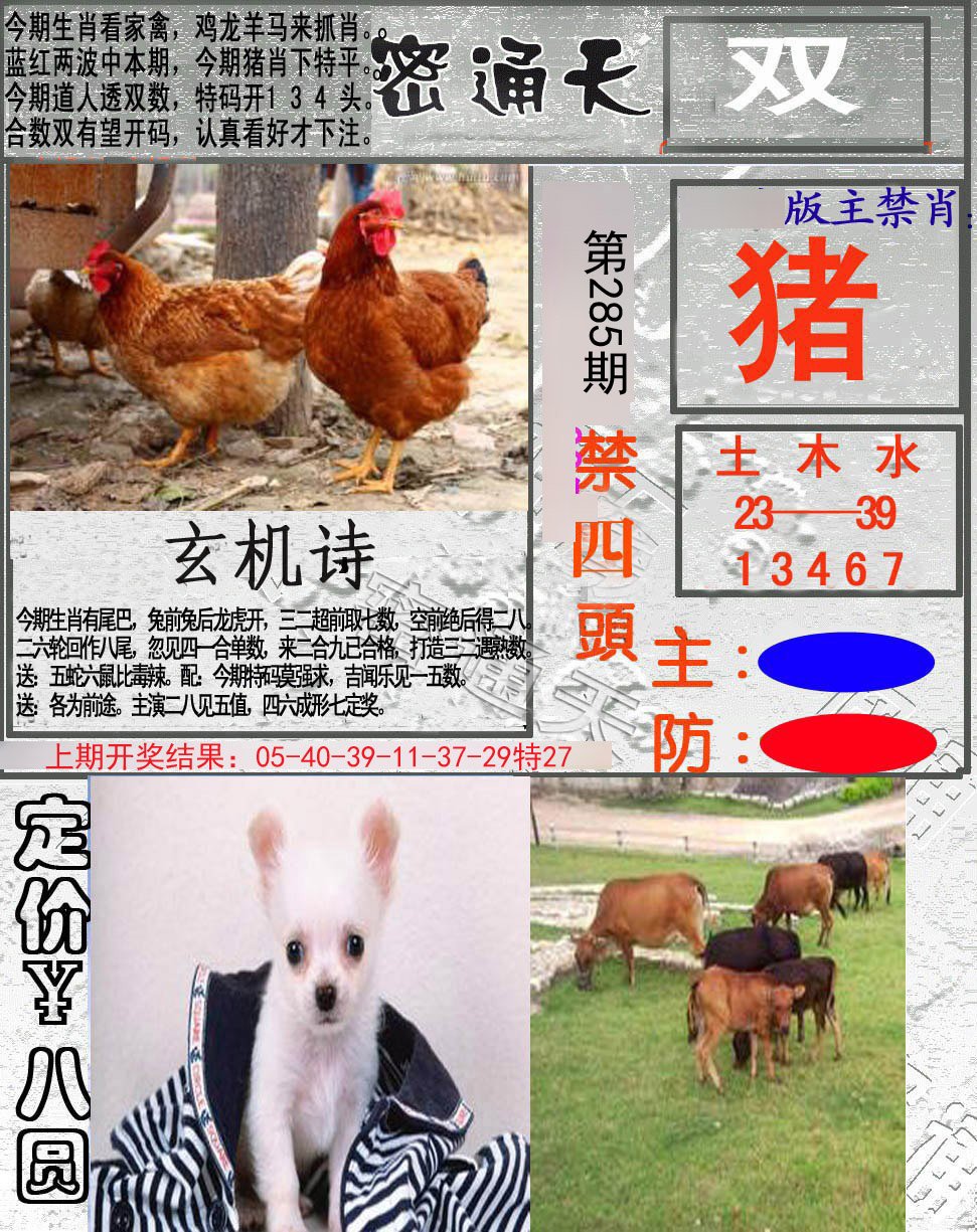 2024285期密通天