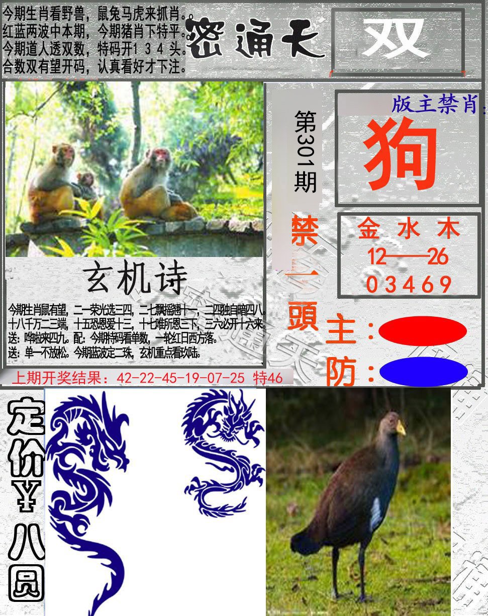 2024301期密通天