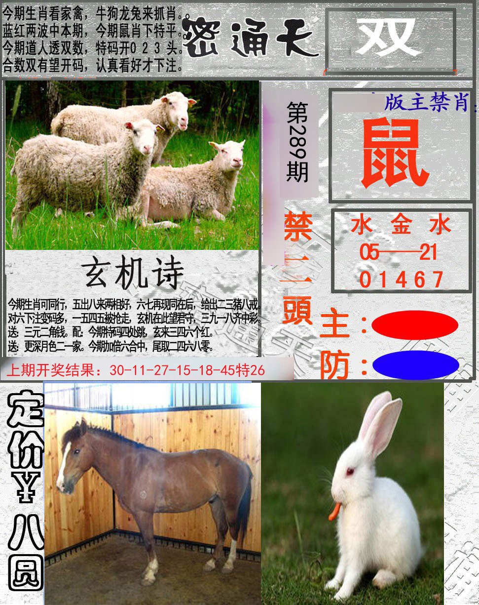 2024289期密通天