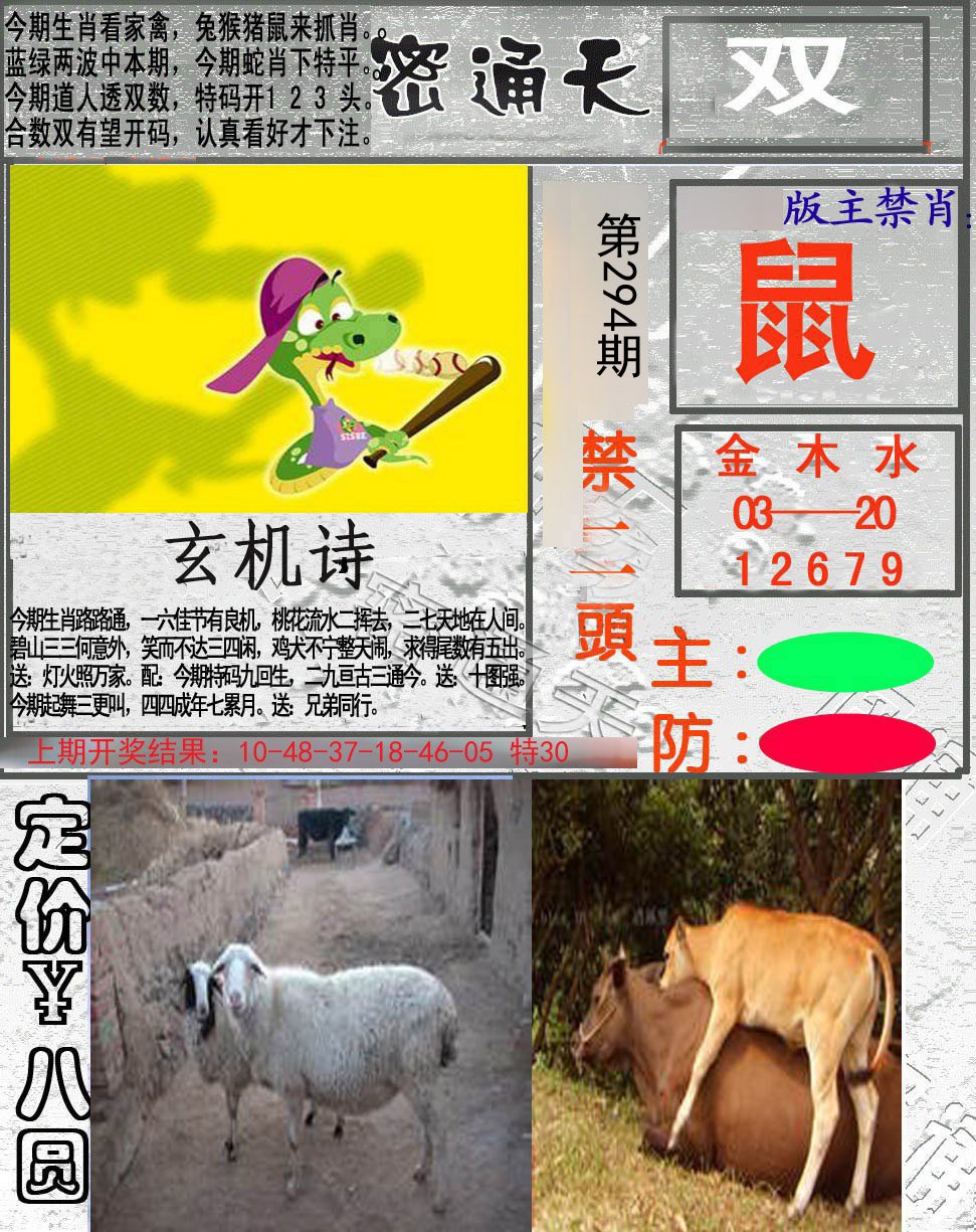 2024294期密通天